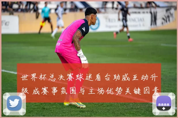 世界杯总决赛球迷看台助威互动升级 成赛事氛围与主场优势关键因素